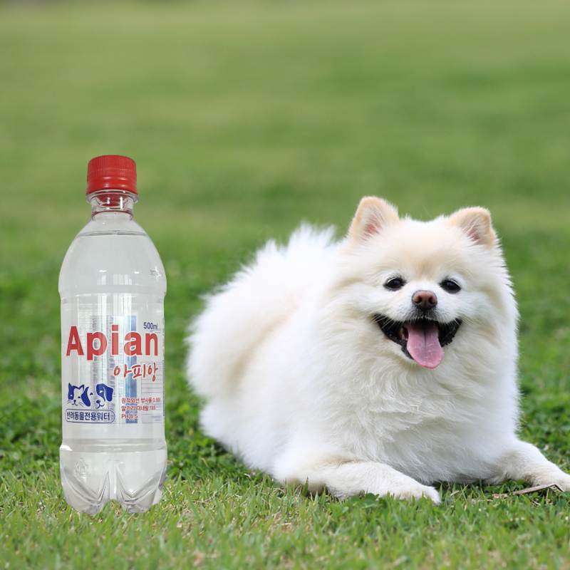 반려동물 전용 아피앙 1박스(500ml×20개)